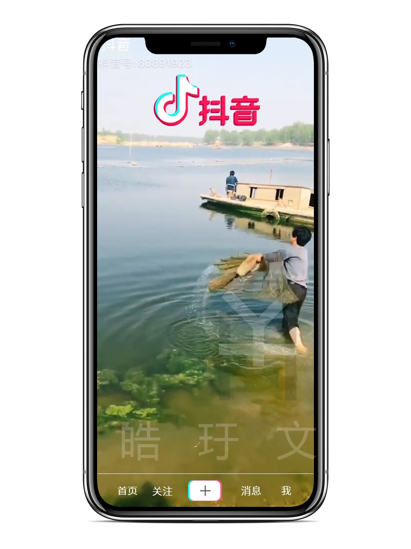 撲魚